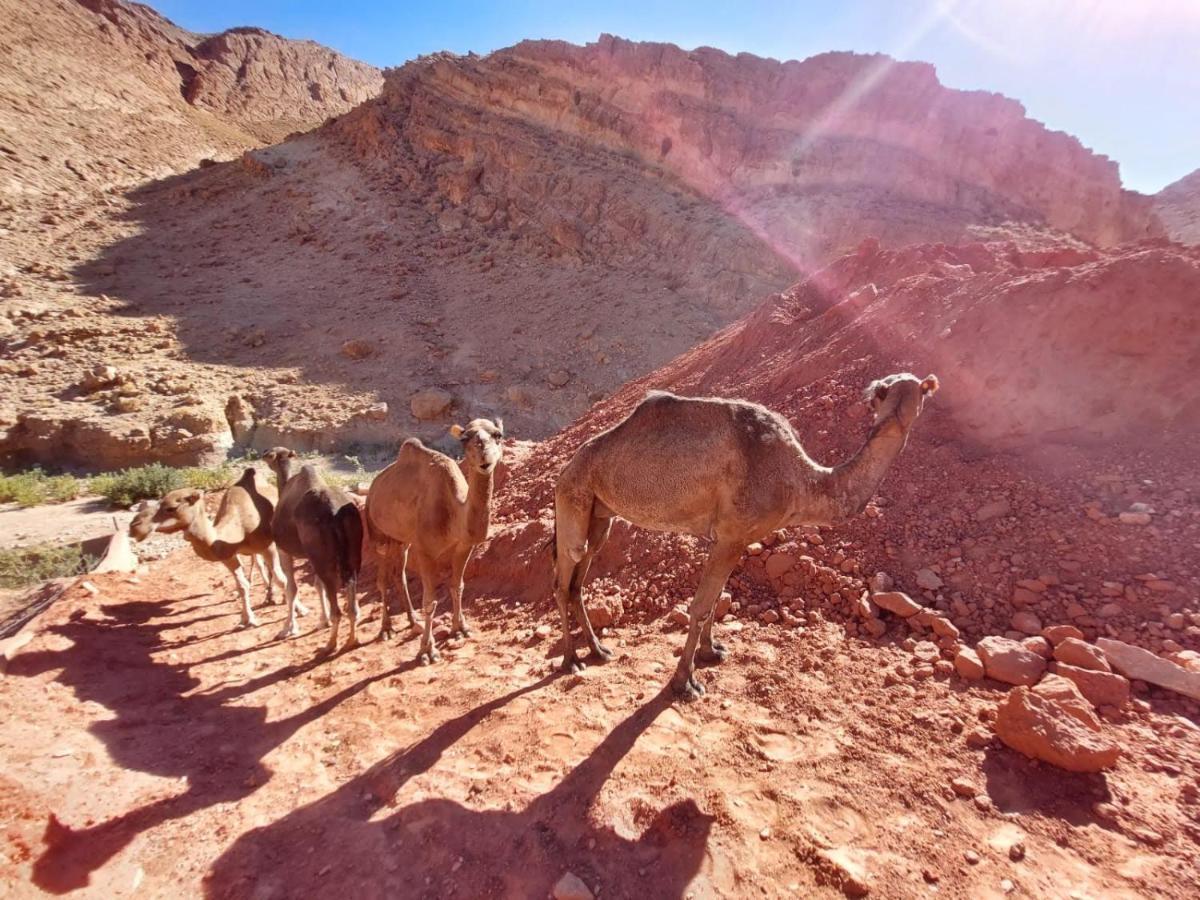 Bab El Atlas Kelaat-M'Gouna Eksteriør billede